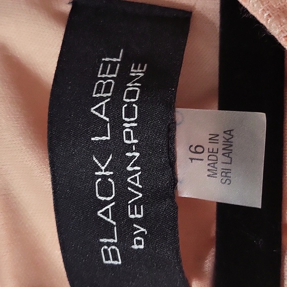 VERY CUTE PLUS SIZE WOMENS SPRING DRESS BLACK LABEL SIZE 16 - Picture 2 of 3